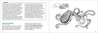 Pacific Intertidal Life 2nd Edition