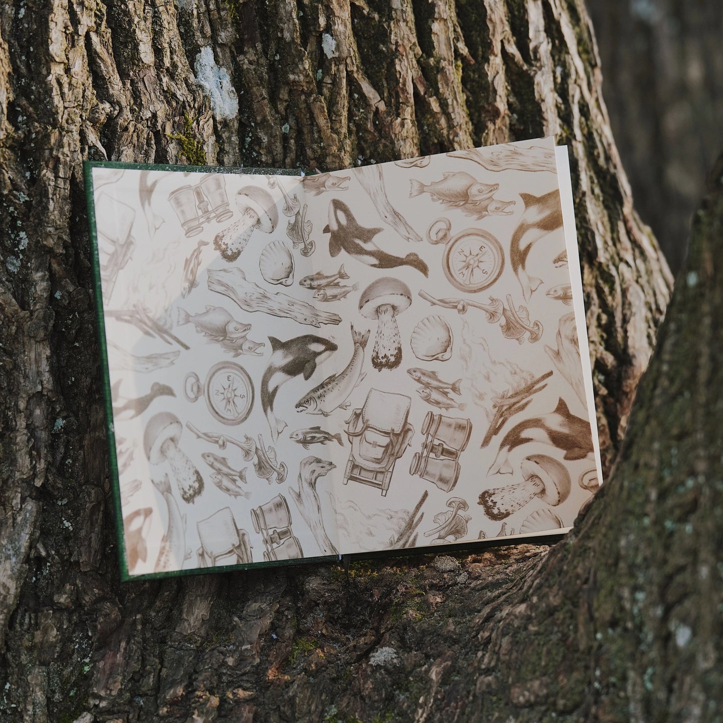 PNW: Card Games Inspired By the Pacific Northwest by Thomas Cardwell (Book)