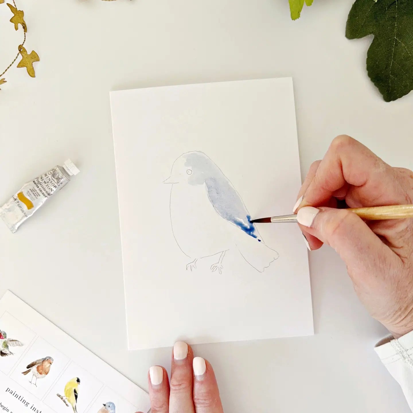 Backyard Birds Paintable Notecard Set by emily lex studio
