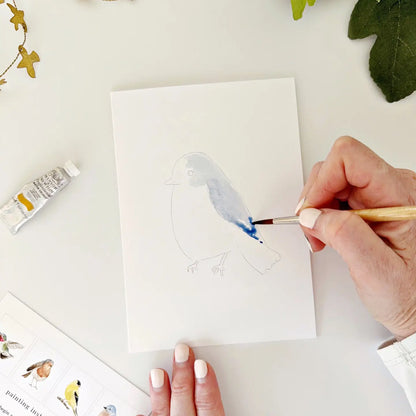 Backyard Birds Paintable Notecard Set by emily lex studio