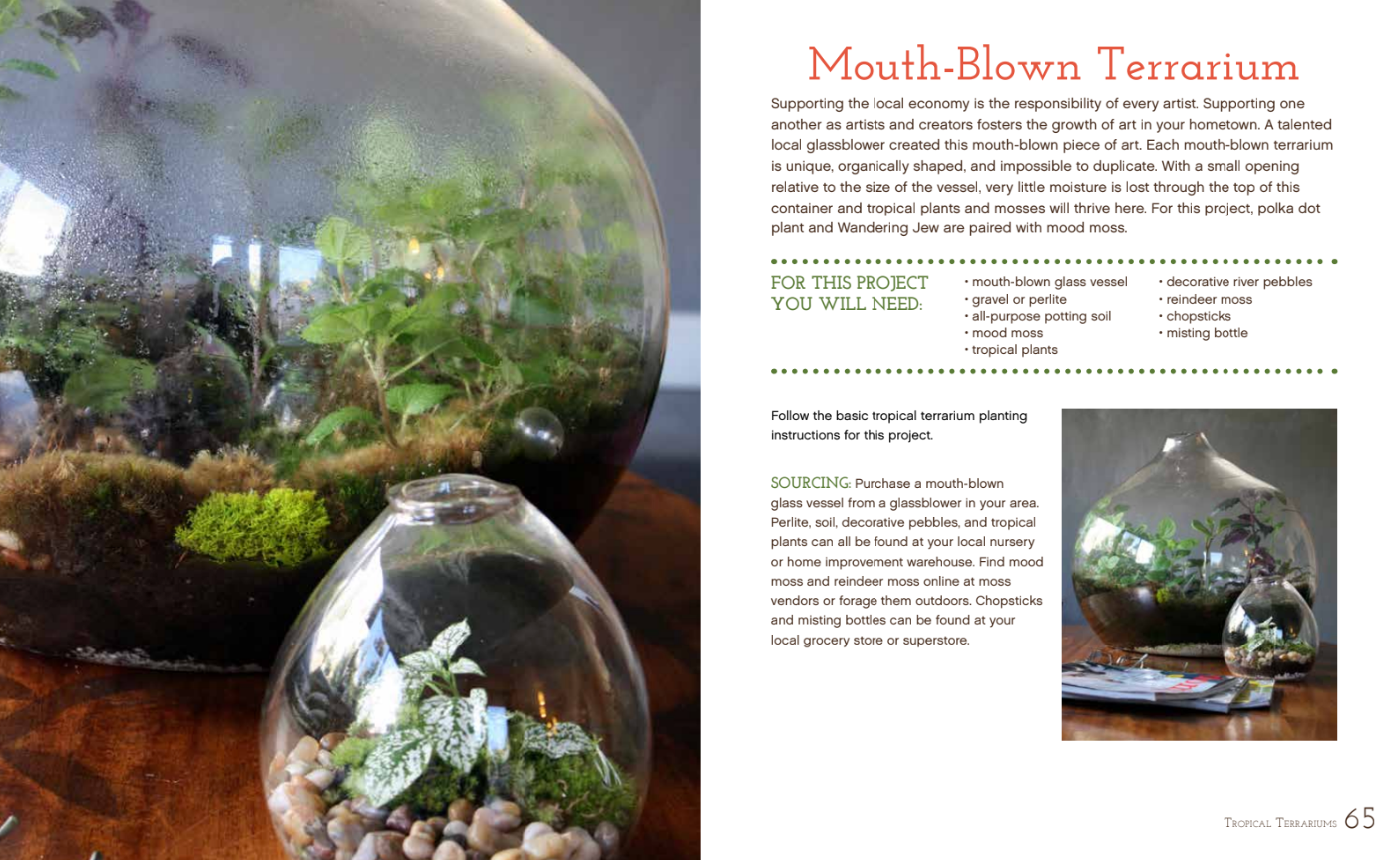 Terrariums Reimagined: Mini Worlds Made in Creative Containers