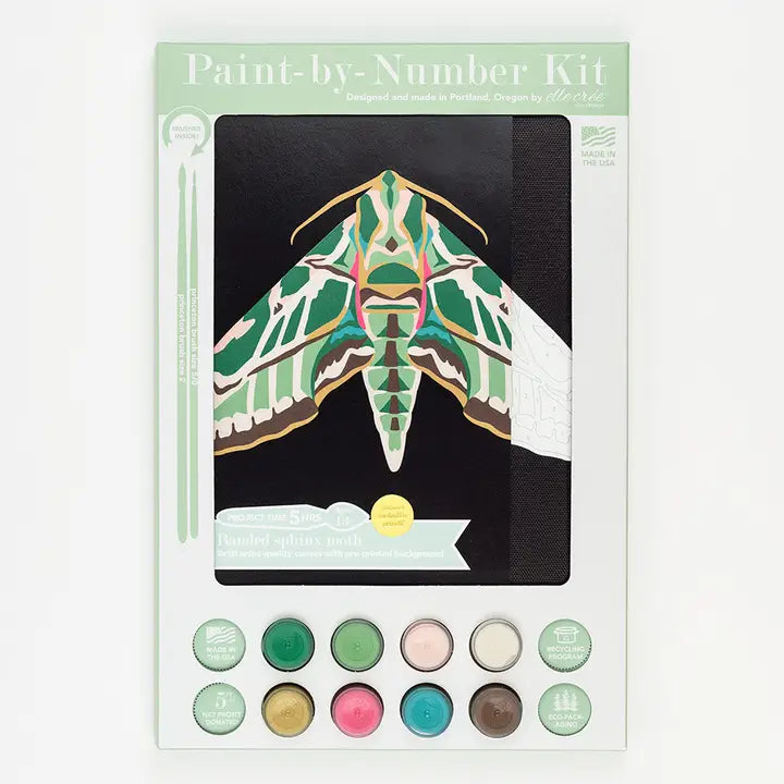 Paint-By-Number Kits