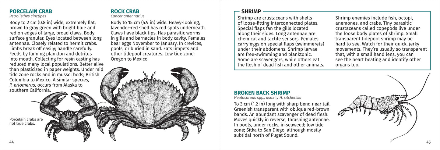 Pacific Intertidal Life 2nd Edition