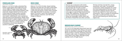 Pacific Intertidal Life 2nd Edition