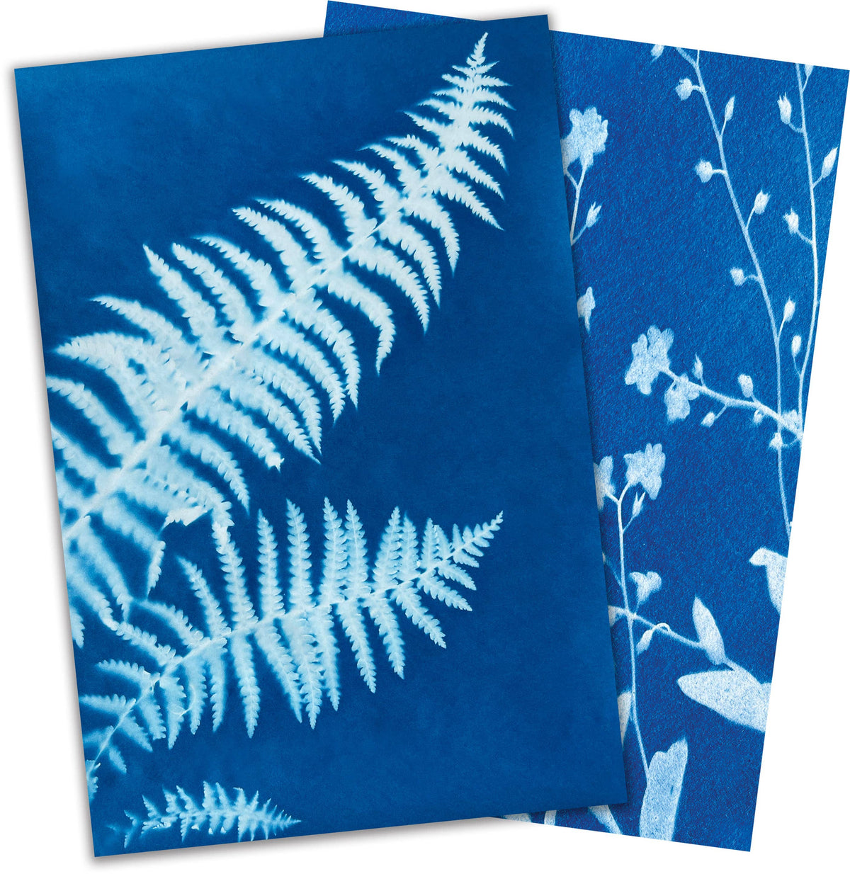 Sun Snap Solar Photo Paper: Cyanotype Sunprint Kit - 5.8x8.3”