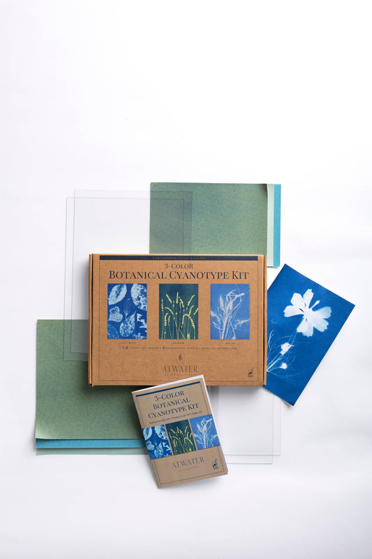 3-Color Botanical Cyanotype Kit: Beginner-Friendly DIY Kit