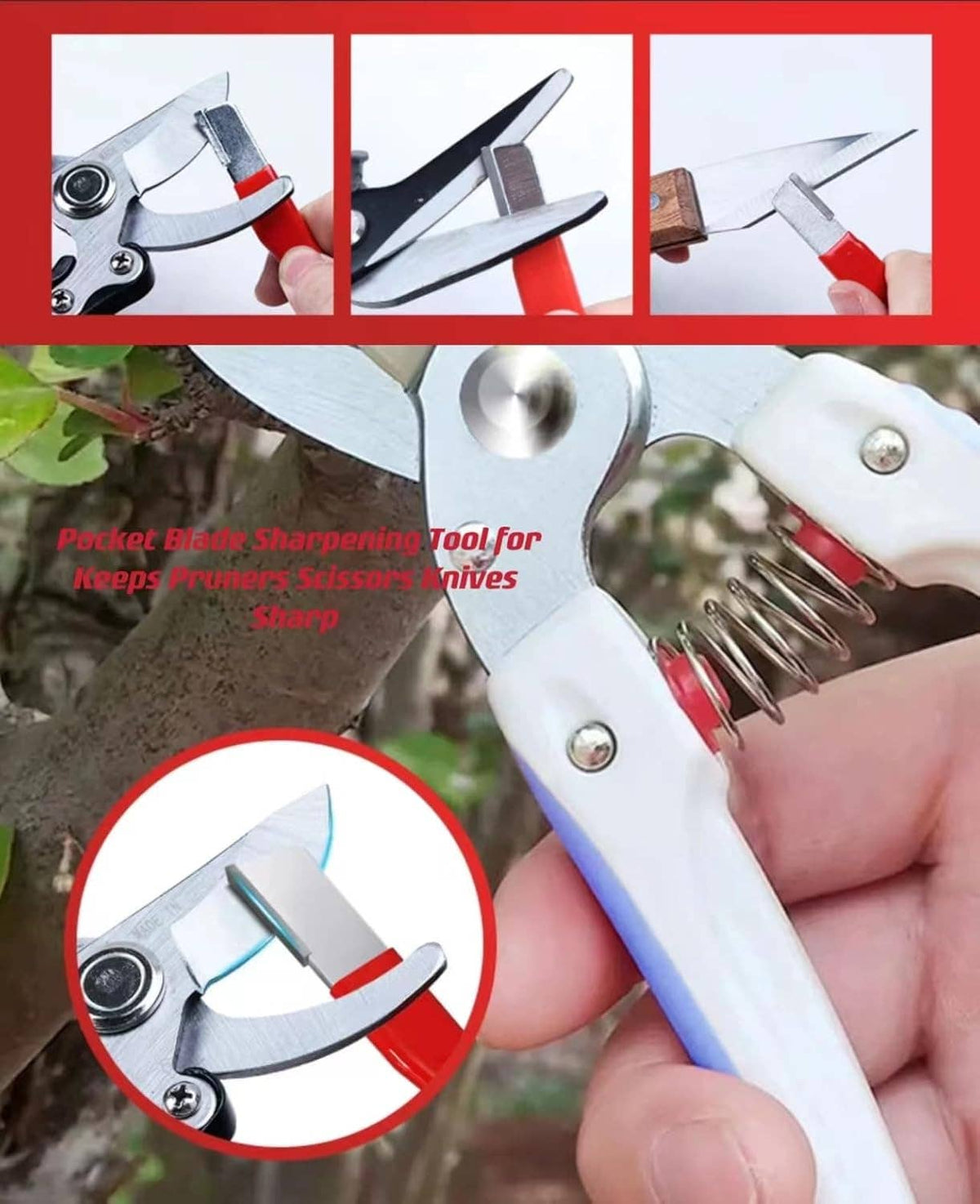 Tungsten Knife Sharpener