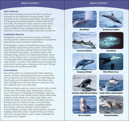 Whale-Watching on the Pacific Coast: Easily Identify Whales, Dolphins, and Other Marine Mammals: Easily Identify Whales, Dolphins, and Other Marine Mammals