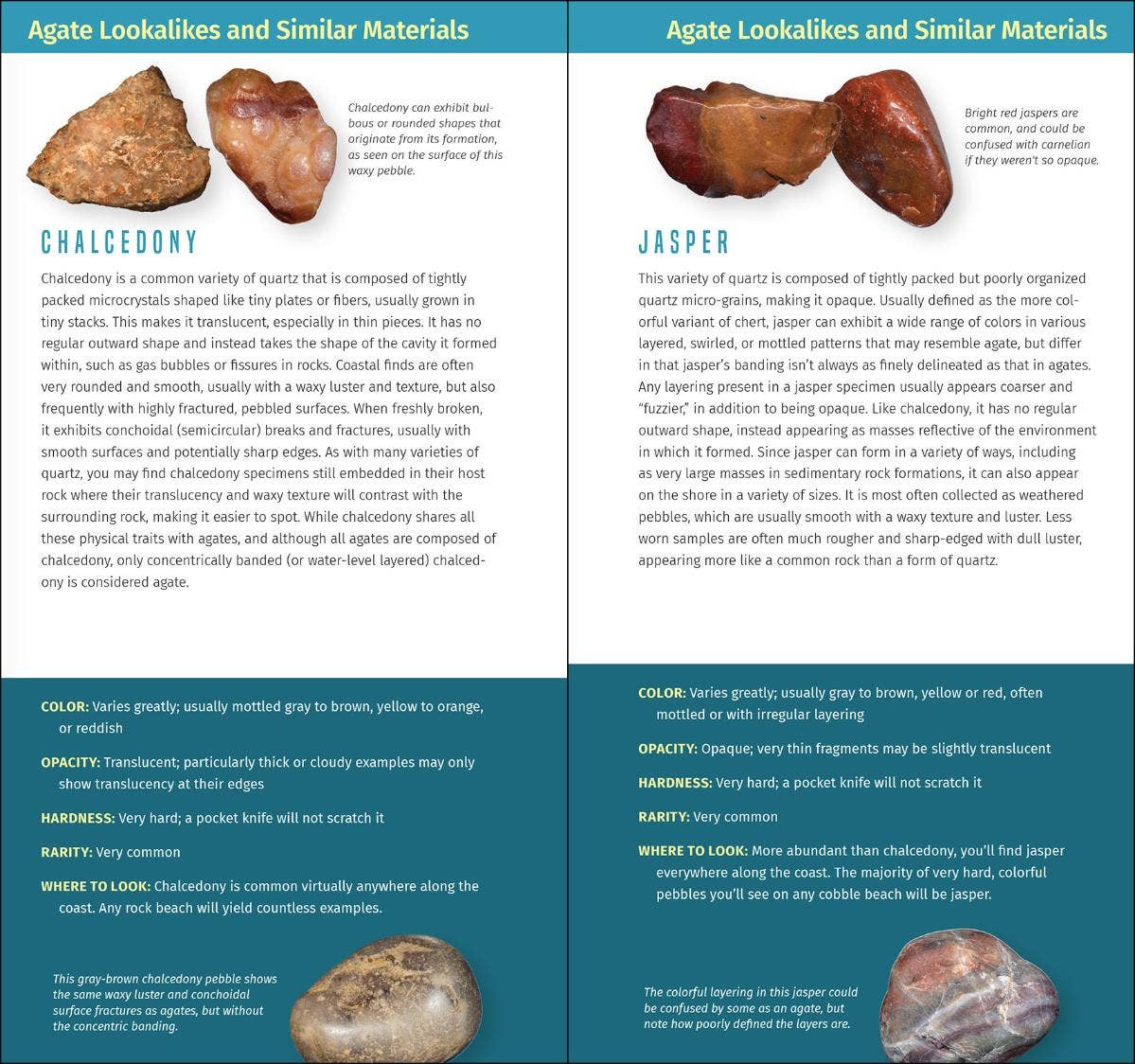 Agates and Other Collectibles of the Pacific Coast: Your Way to Easily Identify Agates