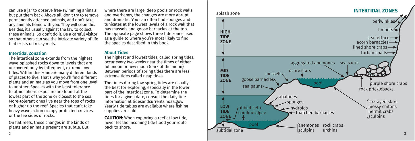 Pacific Intertidal Life 2nd Edition