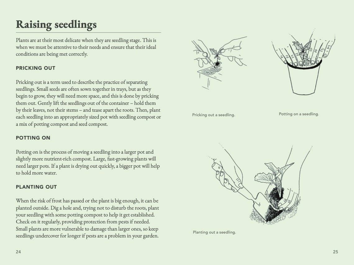 The Seed Collector's Kit: Collect - Sow - Grow - Harvest: Plant Your Garden from Seed with 50 Informative Cards, Five Collection Envelopes, and a Practica