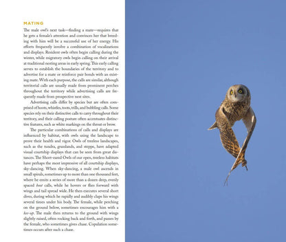 Owl: A Year in the Lives of North American Owls by Paul Bannick