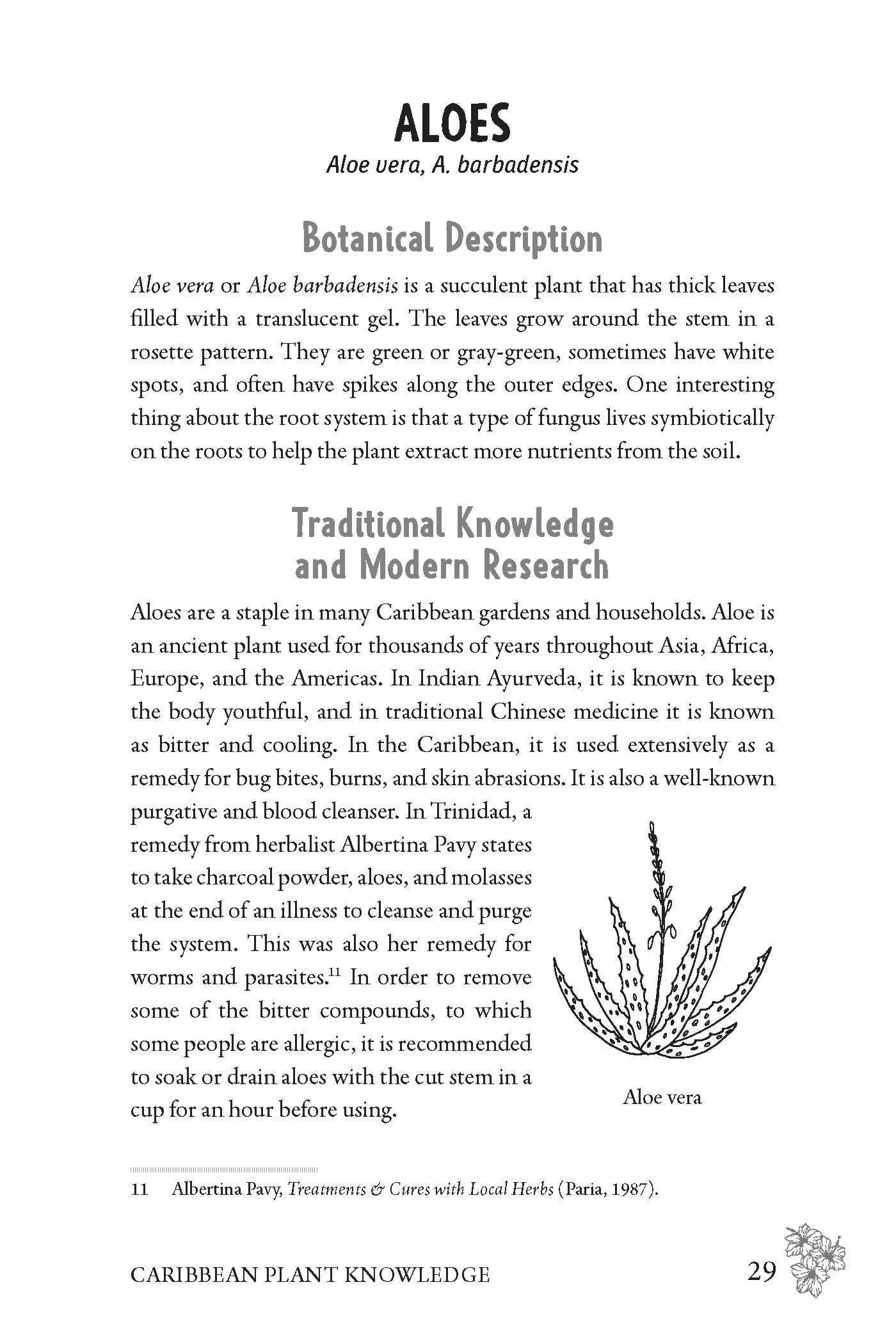 Caribbean Herbalism: Traditional Wisdom and Modern Herbal Healing