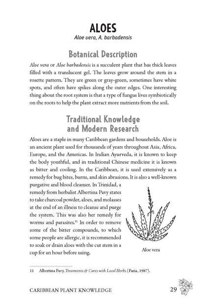 Caribbean Herbalism: Traditional Wisdom and Modern Herbal Healing