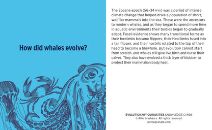 Evolutionary Curiosities Knowledge Cards
