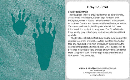 Animal & Bird Tracks: A Handy Reference Knowledge Cards: A Handy Reference Knowledge Cards