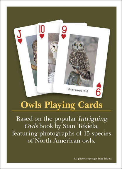 Owls Playing Cards