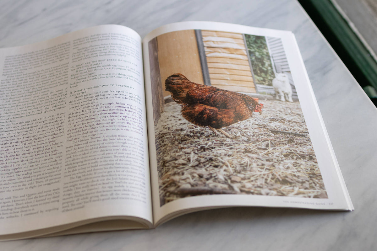 The Homesteading Guide by Joel Salatin, Melissa K. Norris, Josh Thomas, Anne Briggs, Carolyn Thomas & Rory Feek