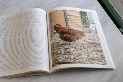 The Homesteading Guide by Joel Salatin, Melissa K. Norris, Josh Thomas, Anne Briggs, Carolyn Thomas & Rory Feek