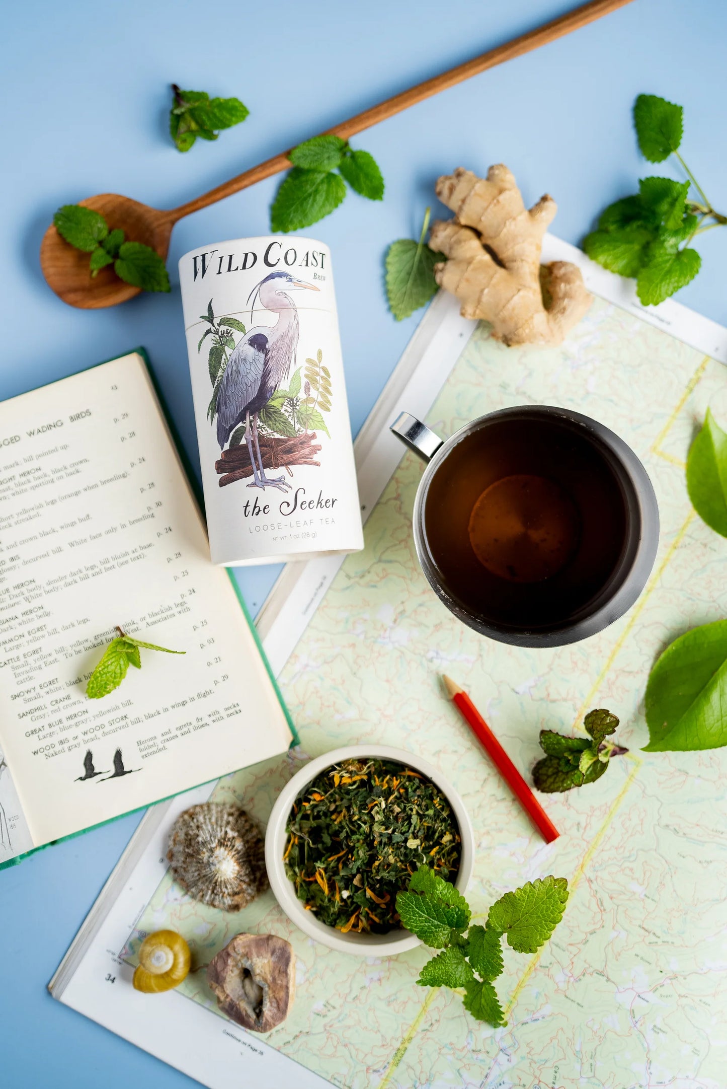 The Seeker - Wild Coast Brew Loose Leaf Tea